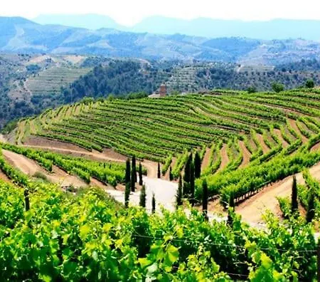 Wine Experience Center - & Wine * Salou